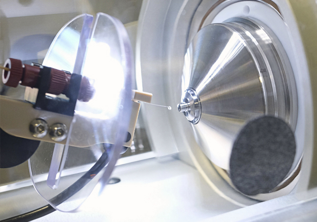 Investigadores de la UPV/EHU hallan una explicación a los complejos síntomas del Síndrome de Angelman