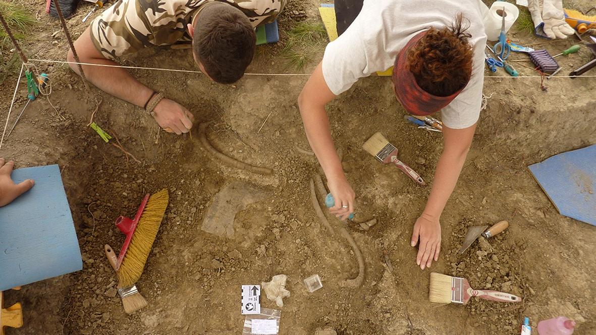 Duela 42 milioi urte Huesca-ko Pirinioetan bizi zen sirenio ugaztun berri bat aurkitu da