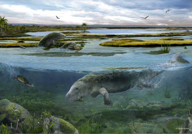 Sobrarbesiren cardieli sirenioaren eta bera bizi zeneko ingurunearen berreiraketa. Sobrarben (Huesca) Bizkaiko Golkora zabaltzen zen itsasertzeko eremu bat zegoen, landaretza eta klima tropikal bateko delta batean amaituko zena.