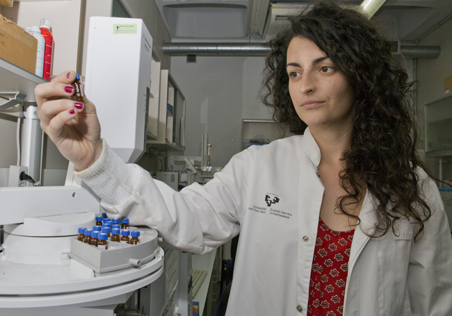 Euskal baleontzien historiaren berri, hainbat zeramika-zatiren azterketatik