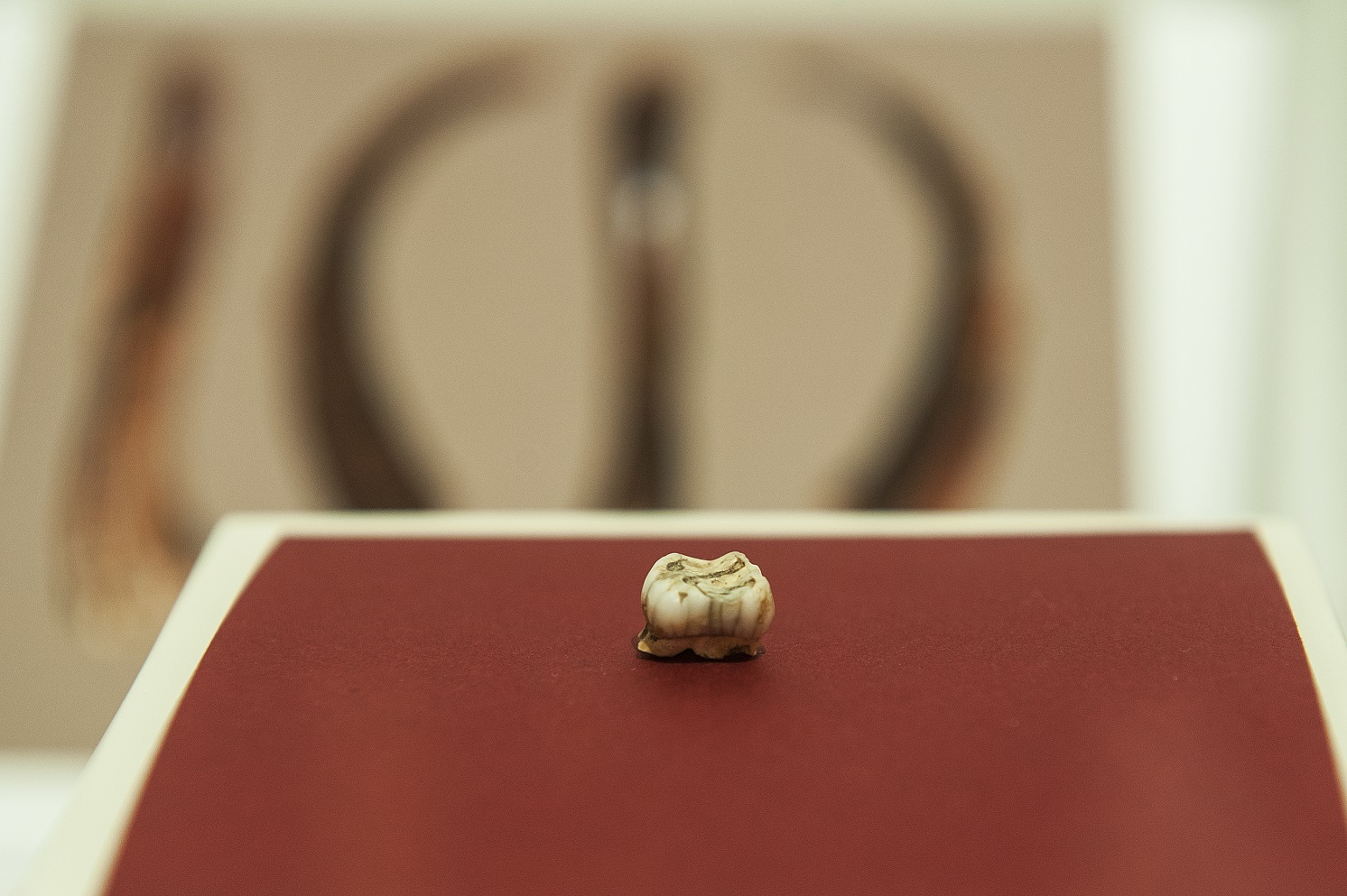 Neandertal baten esne hagina