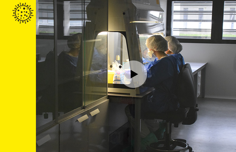 Laboratorio de Maria Goyri