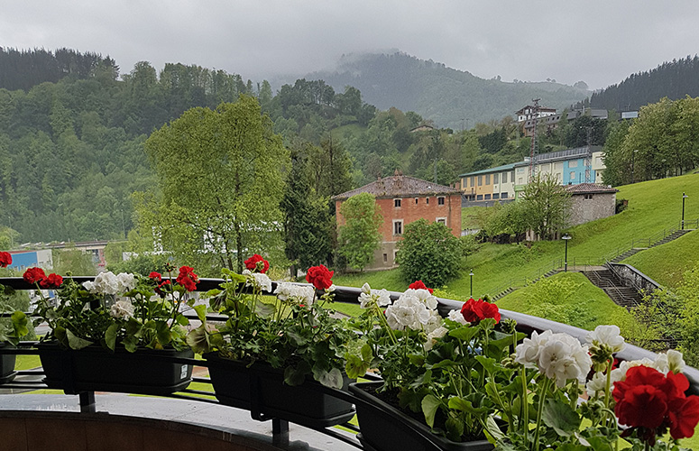 Zeru lainotsu batez inguratuta, hainbat eraikin, zuhaitz eta bide dituen bailara berde bat erakusten du irudiak. Atzealdean, telefono-dorreak beren kableekin. Guztia, metal beltzezko baranda bat duen balkoi biribil batetik ikusita dago. Barandan, lau lorontzi ahokatuta, lore zuri eta gorriz beteak.