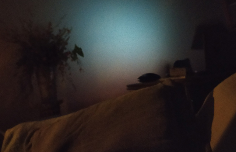 Vemos una habitación oscura con un círculo de luz en el centro enfocado a la pared. En primer plano la esquina de un sofá con un cojín, ambos marrones. En la pared del fondo una pequeña planta y un escritorio con varios objetos inidentificables.