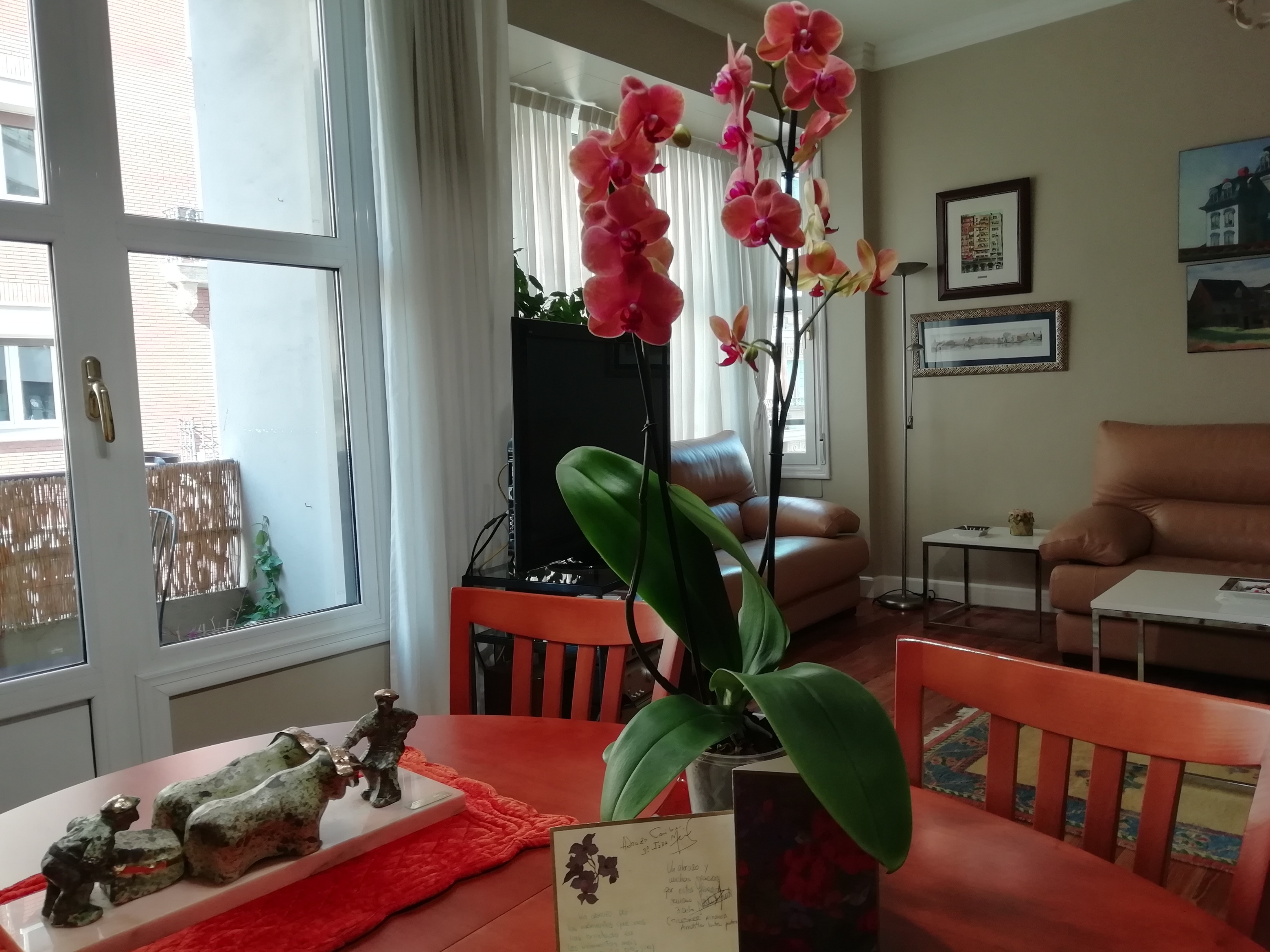 Vemos una sala. En primer plano, sobre una mesa de madera redonda un jarrón con dos plantas de tallo marrón alto coronados con varias flores de pétalo redondo y rosado. En la base cuatro hojas verdes anchas caen perezosas bajo unas tarjetas. A la derecha una esculturita de piedra de dos bueyes tirando de una piedra ayudados por dos baserritarras. La pared derecha se abre en dos ventanales: el primero da a un balcón y el segundo abre un hueco donde está encajado un sofá de cuero marrón. La pared de fondo está decorada con cuatro cuadros y tiene apoyado un sofá idéntico con una mesilla blanca delante.