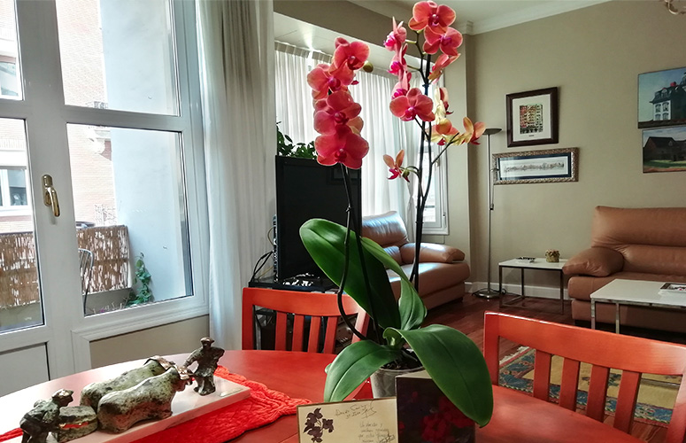 Vemos una sala. En primer plano, sobre una mesa de madera redonda un jarrón con dos plantas de tallo marrón alto coronados con varias flores de pétalo redondo y rosado. En la base cuatro hojas verdes anchas caen perezosas bajo unas tarjetas. A la derecha una esculturita de piedra de dos bueyes tirando de una piedra ayudados por dos baserritarras. La pared derecha se abre en dos ventanales: el primero da a un balcón y el segundo abre un hueco donde está encajado un sofá de cuero marrón. La pared de fondo está decorada con cuatro cuadros y tiene apoyado un sofá idéntico con una mesilla blanca delante.