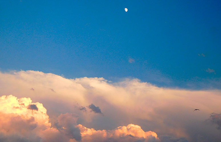Un cielo azul al anochecer. Un mar de nubes anaranjadas cubre toda la parte baja. En lo alto, sobre un fondo completamente claro, una pequeña luna casi llena.
