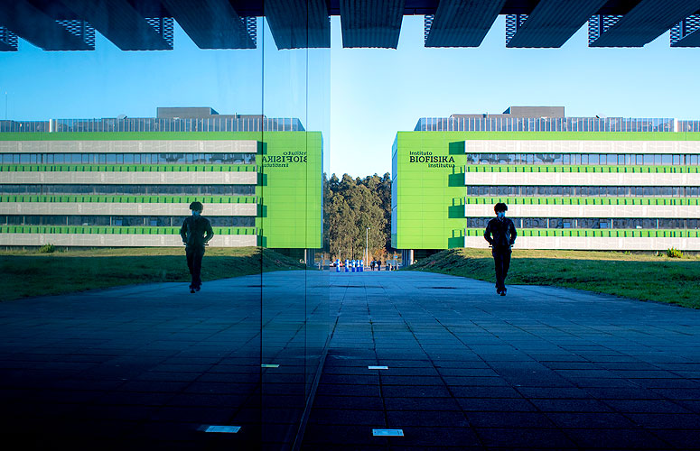 Argitasuna tuneletik