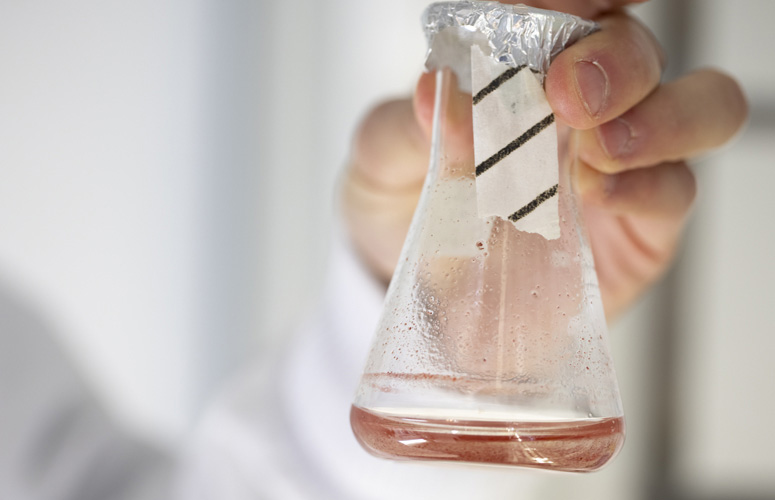 Muestra-microalga-BMCC-UPV-EHU-colección