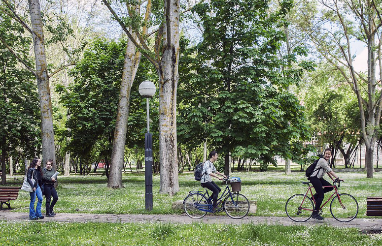 Mugikortasunaren Europako Astea