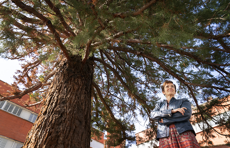 Zuriñe Gómez de Balugera junto a la secuoya situada en la entrada trasera a la Escuela de Ingeniería de Vitoria-Gasteiz