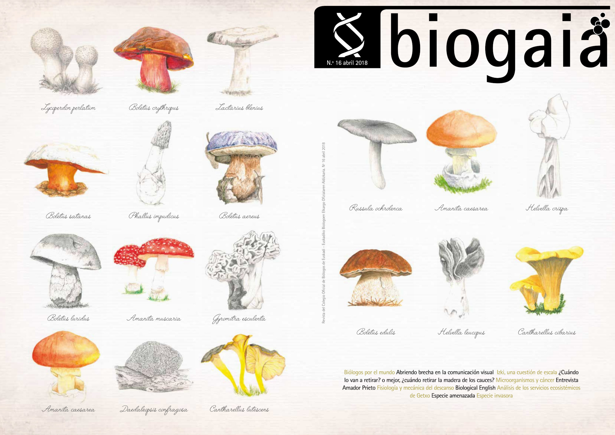 Portada de la revista BIOGAIA 2018. Ilustración de hongos.