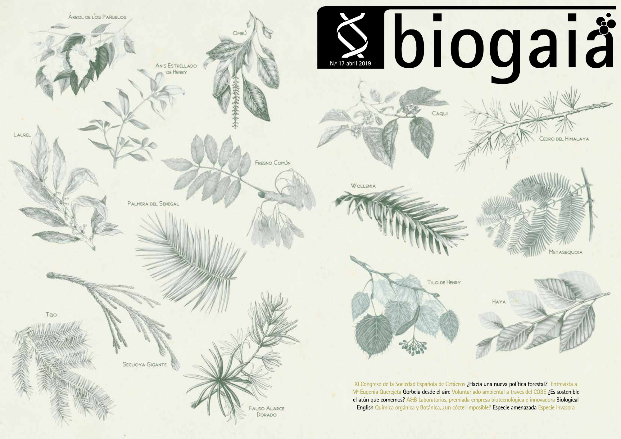 Portada de la revista BIOGAIA 2019. Ilustración de árboles