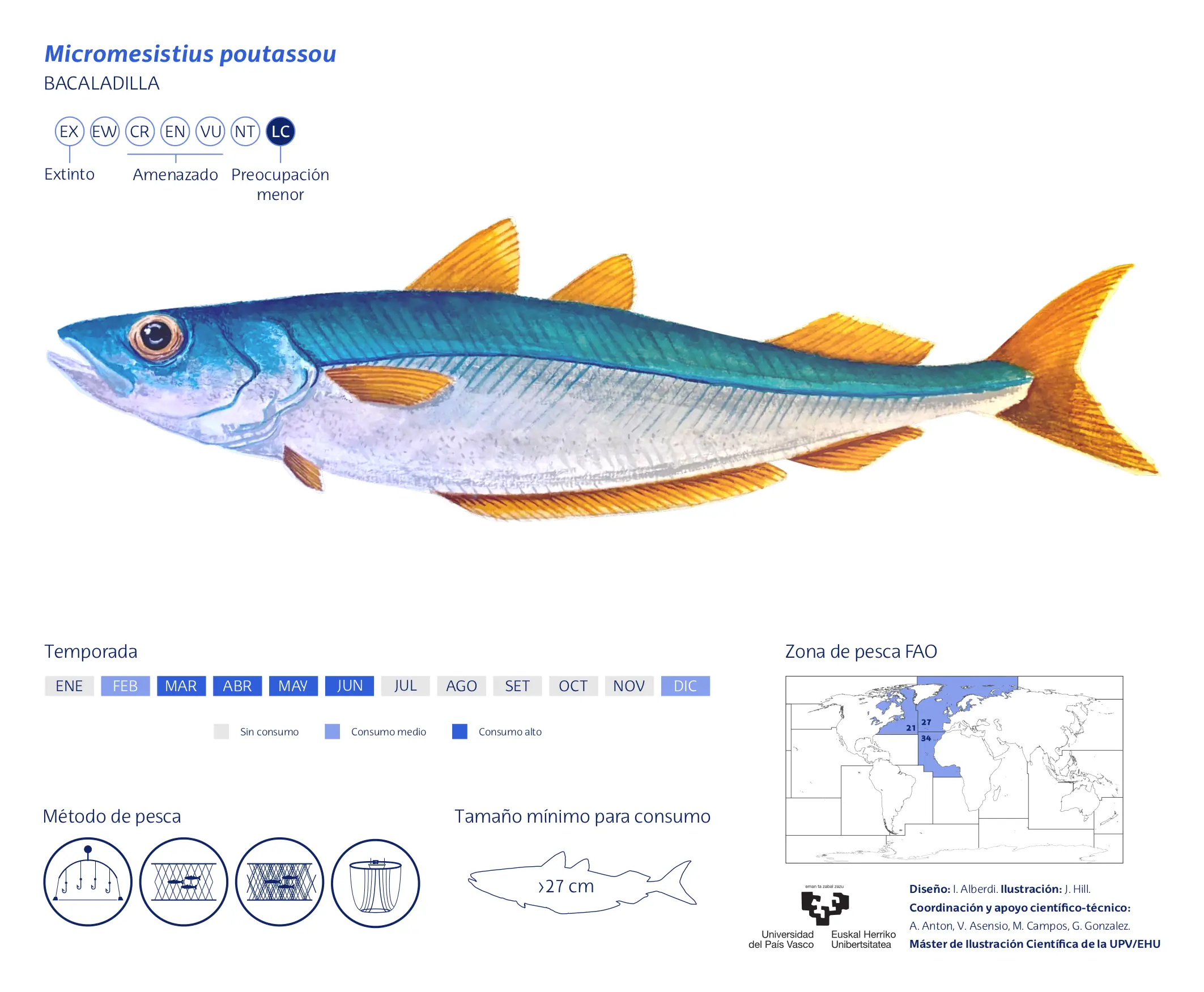 Micromesistius-poutassou_John-Mark-Hill
