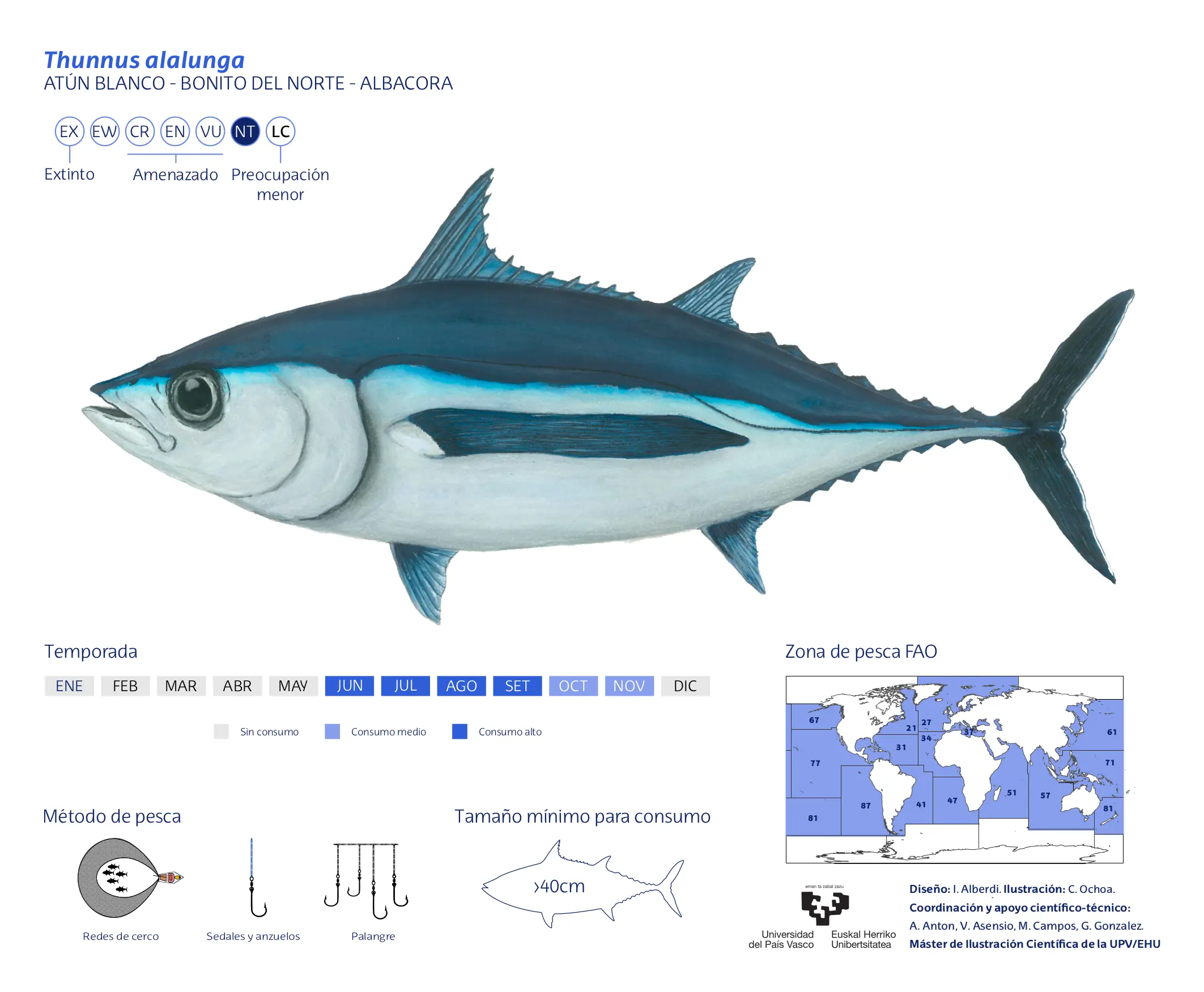 Thunnus alalunga-Christian-ochoa