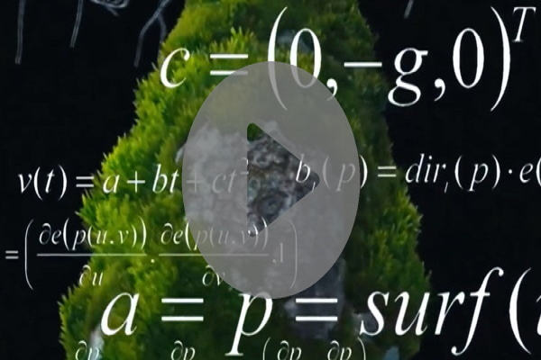 Video for the transversal teachings