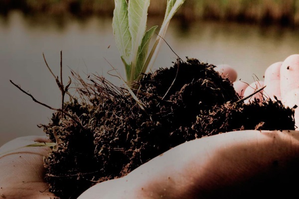 Master's Degree in Environmental Engineering and Management