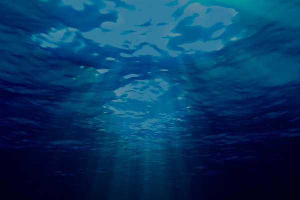 Master's Degree in Marine