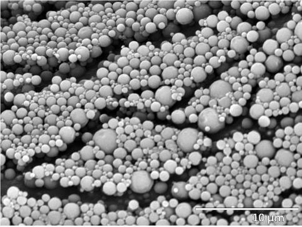 Foto ganadora: "SEM micrograph of a dispersion of fluorinated polymer particles" by Ms. Ana B. López