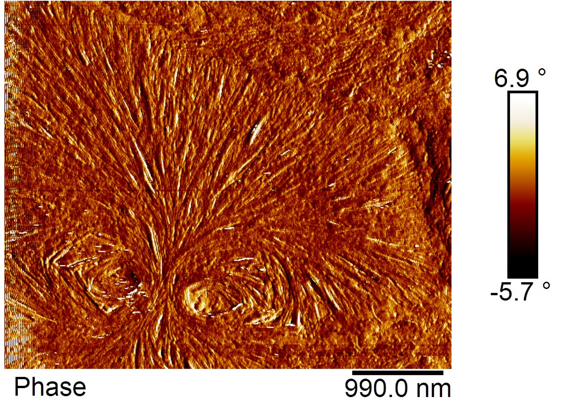 "The eyes": Double crystalline nascent spherulite. AFM micrographs of a PEO-b-PCL diblock copolymer taken at a room temperature.