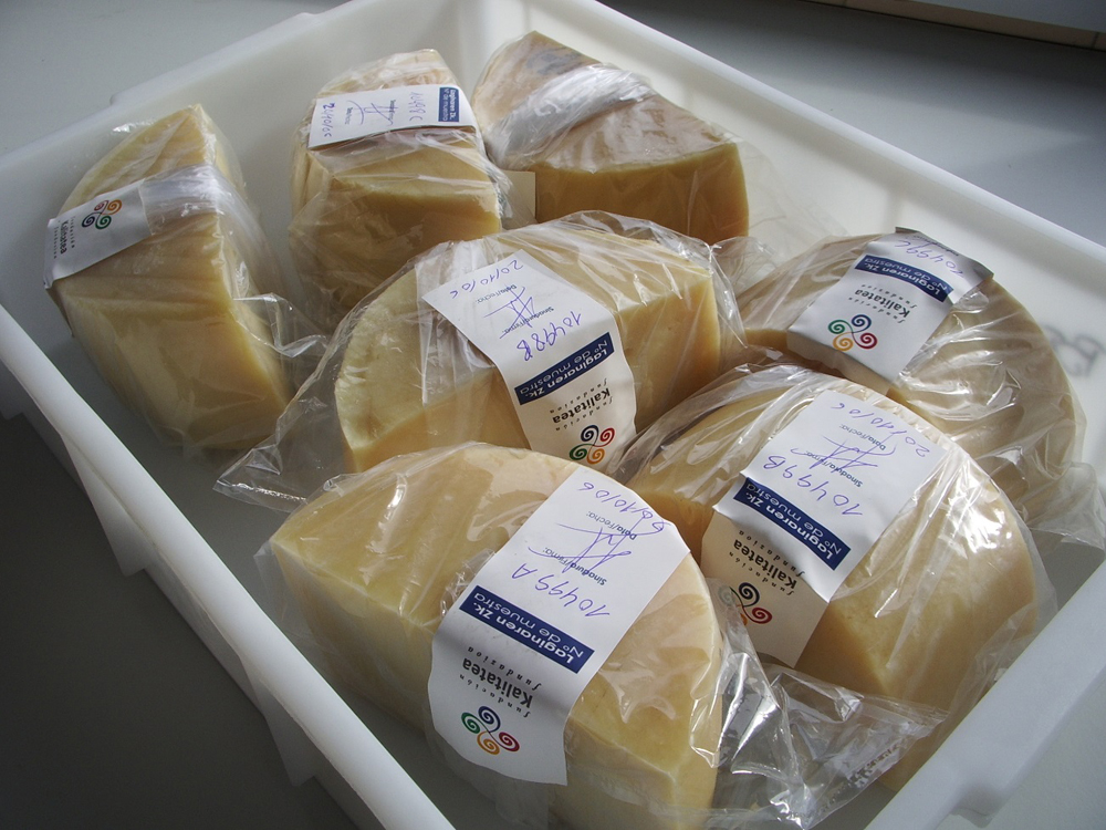 Recepción de quesos, codificados de forma anónima, antes de su análisis sensorial