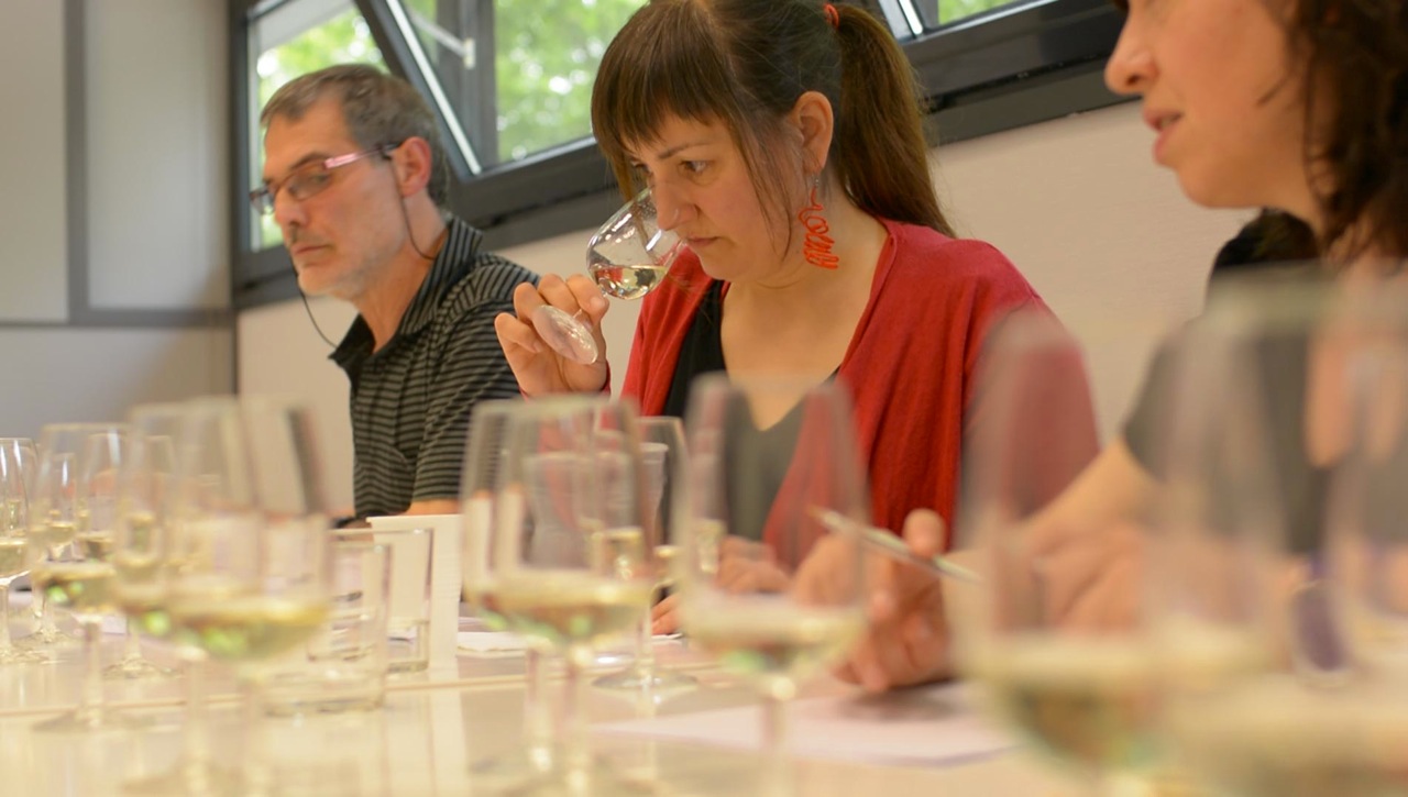 Sesión de entrenamiento y discusión