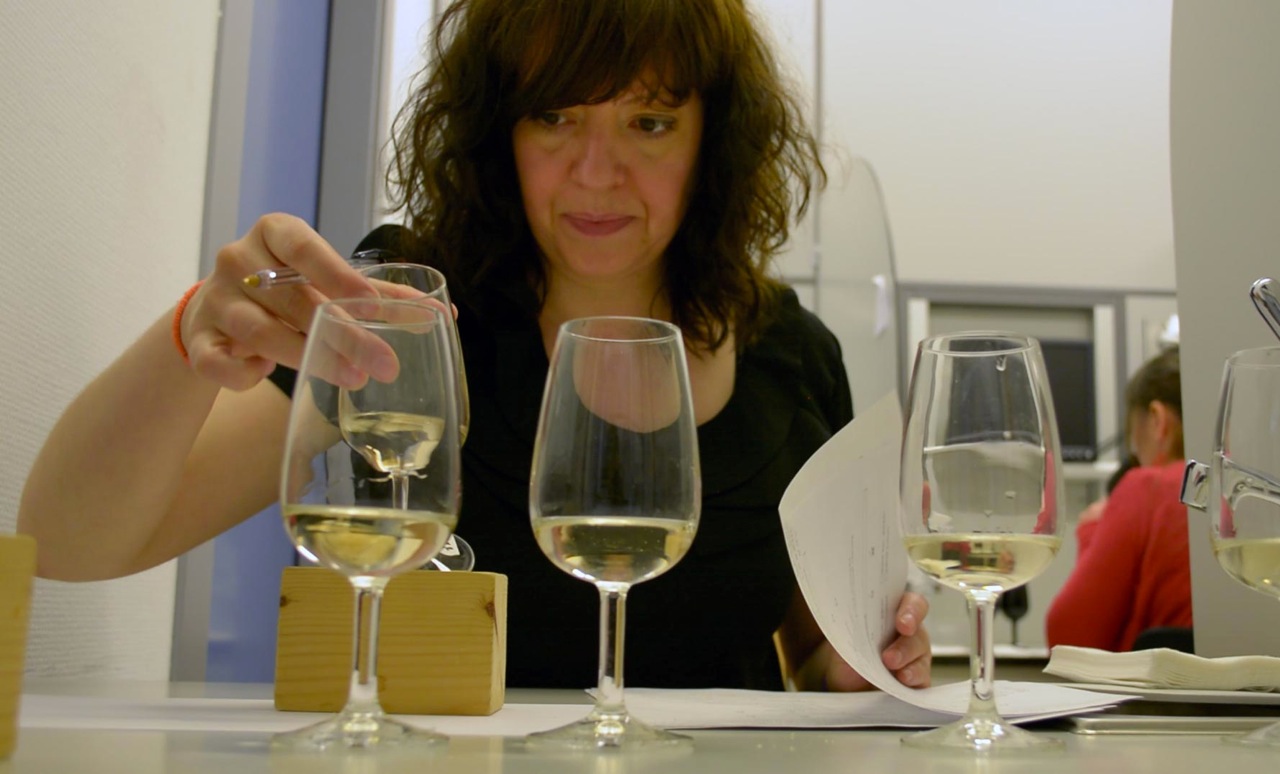 Evaluando la apariencia del vino en una cabina de la sala de evaluación sensorial