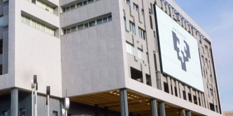 Estudios de grado