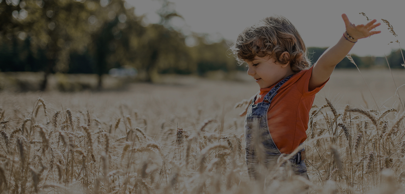 Continuing Education Master's Degree: Protection of Children and Adolescents