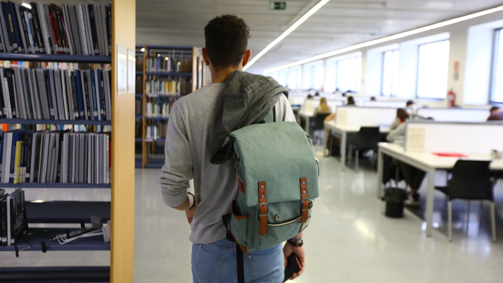 Study at the Faculty