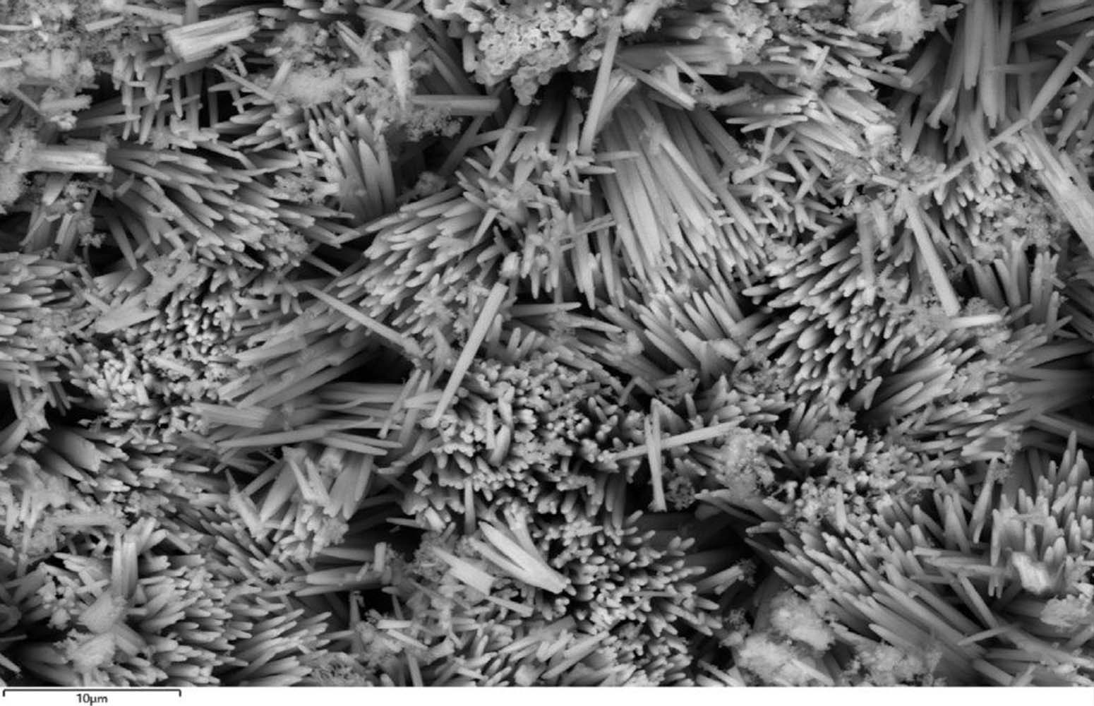 Nano-needles under an electron microscope