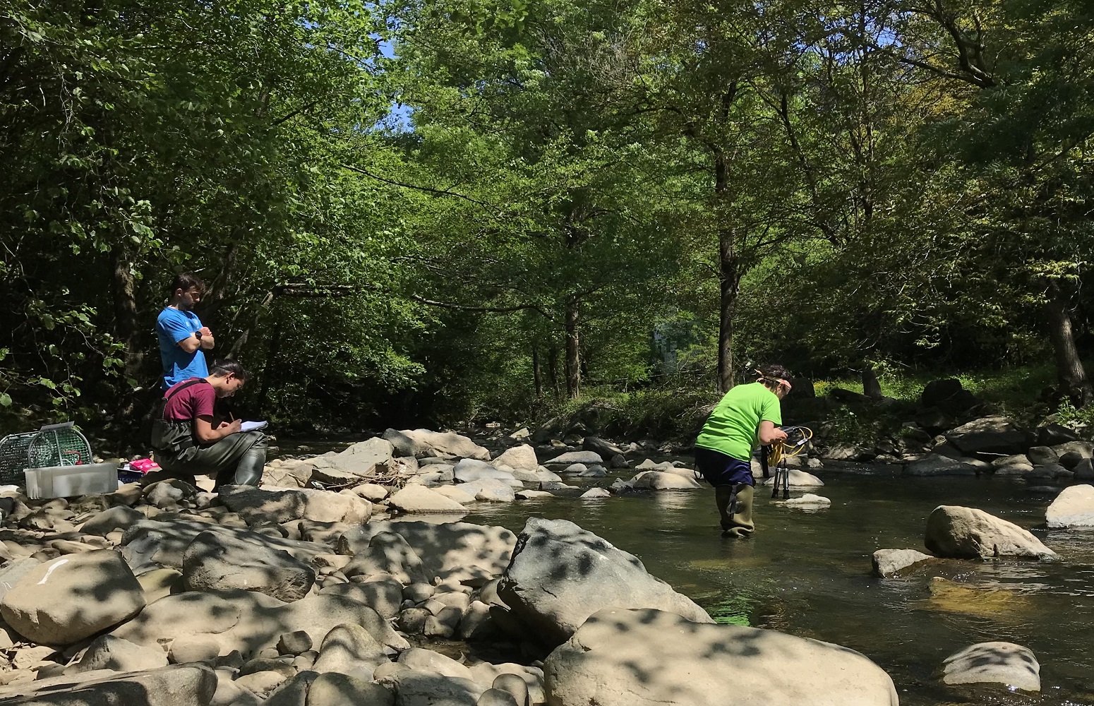 Group researchers’ fieldwork internships: in the photo: Irene Beltrán de Heredia (in maroon) and Estilita Ruiz Romera (in green)