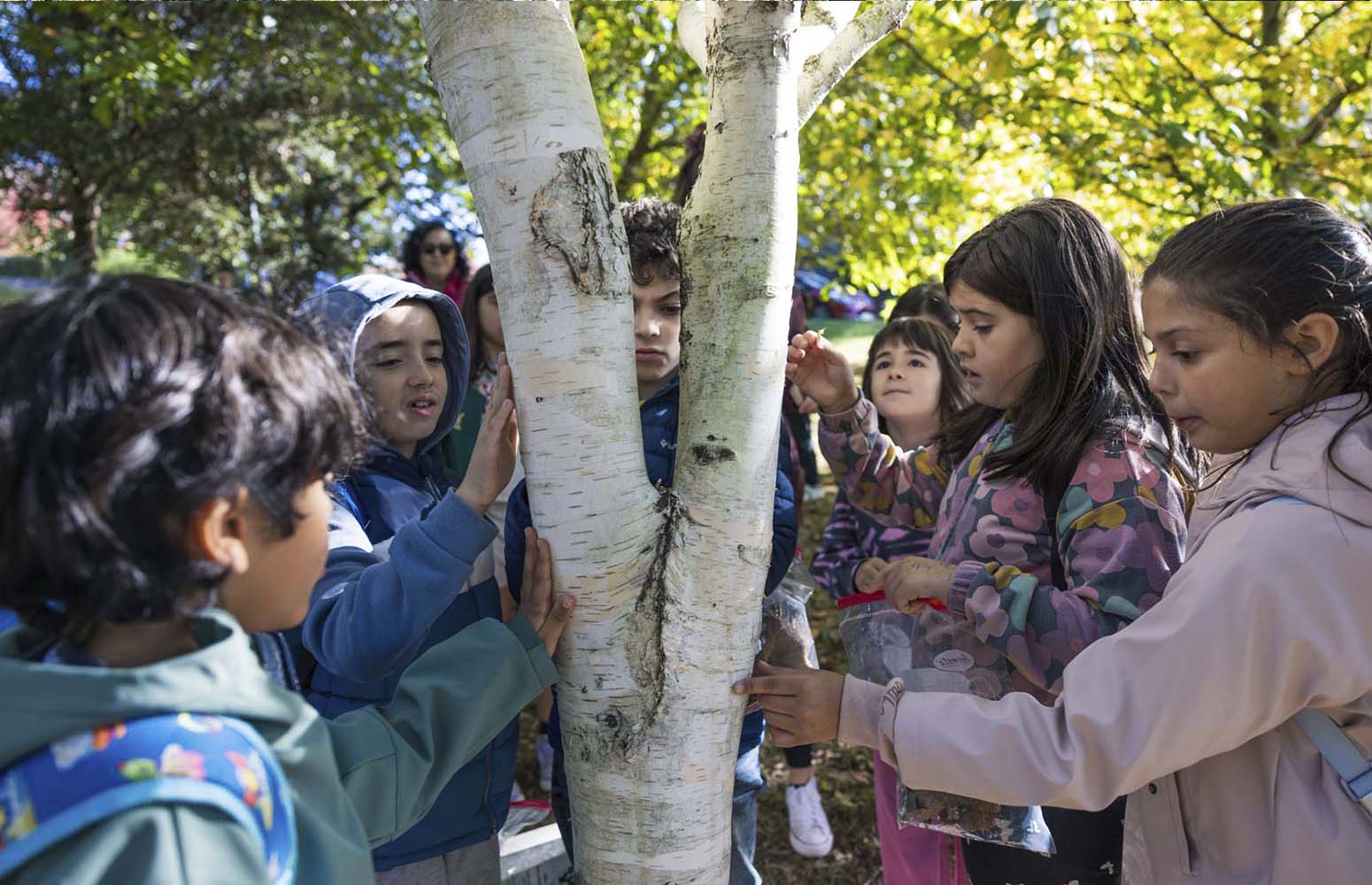 San Bartolomeko ikasleek Arboretumean