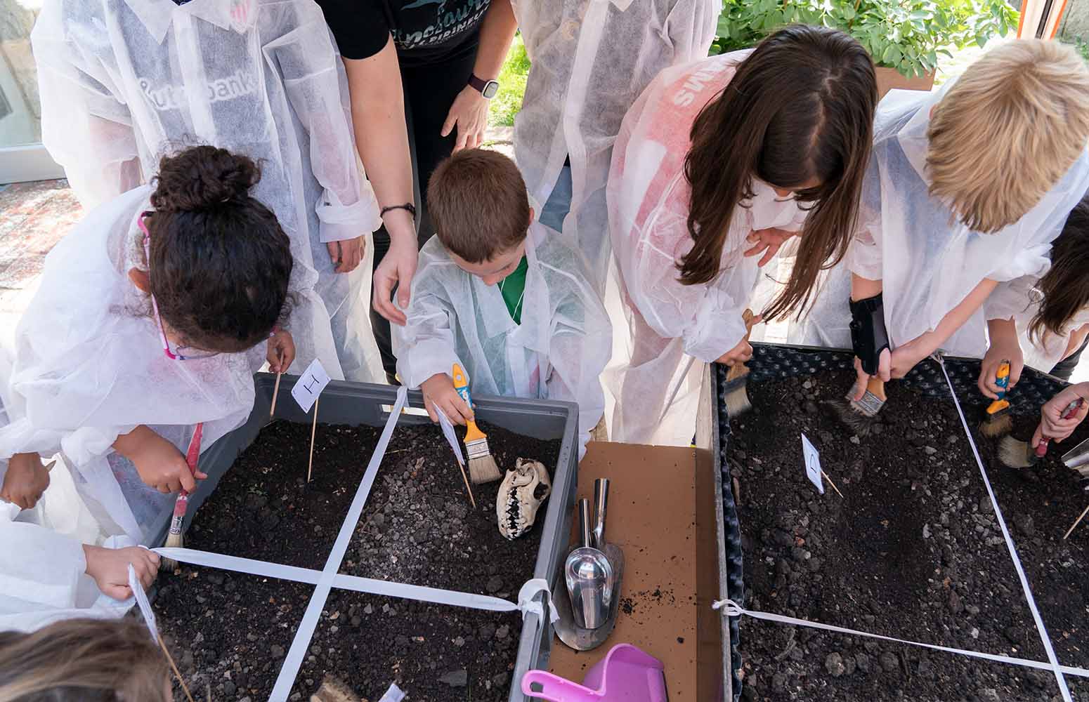 Amorotoko eskolako umeak indusketa paleontologikoan