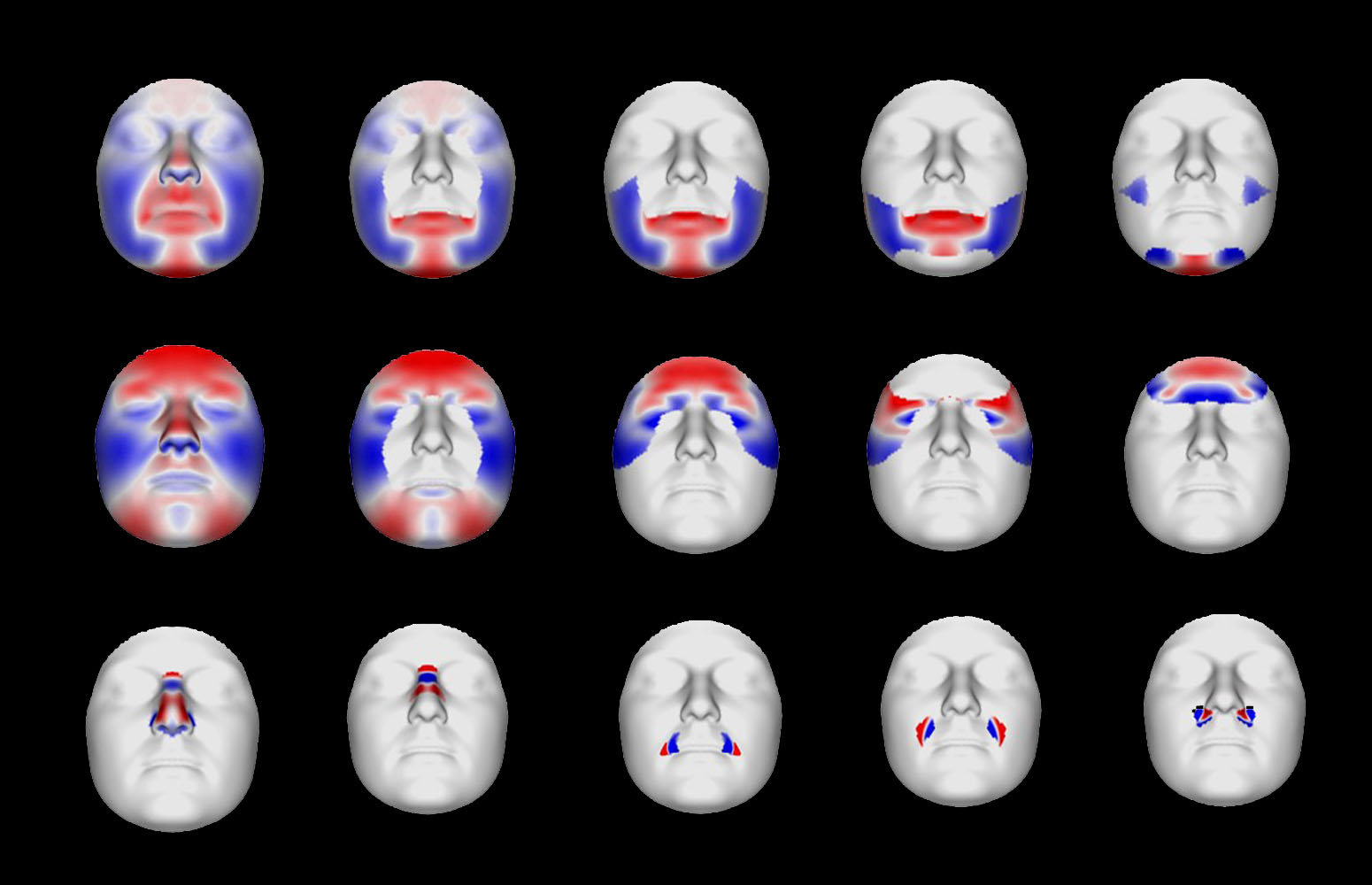 Las zonas marcadas en color señalan las zonas específicas donde se ha encontrado que algún marcador genético tiene asociación. El color muestra el desplazamiento del tejido blando del rostro en función del genotipo. Para un genotipo específico, el azul indica movimiento hacia el interior y el rojo hacia el exterior. Por ejemplo, en las figuras de la nariz, el color rojo señala una nariz que sobresale más hacia fuera, pero con las fosas nasales más recogidas hacia dentro; por tanto, sería una nariz más proyectada hacia fuera y estrecha. (Fuente: Belén Navarro / EHU)