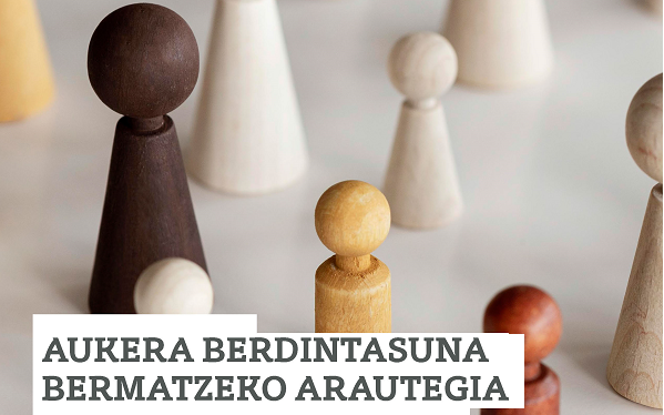 Hezkuntza Premia Espezifikoak dituzten EHUko Ikasleei Aukera Berdintasuna Bermatzeko Arautegia