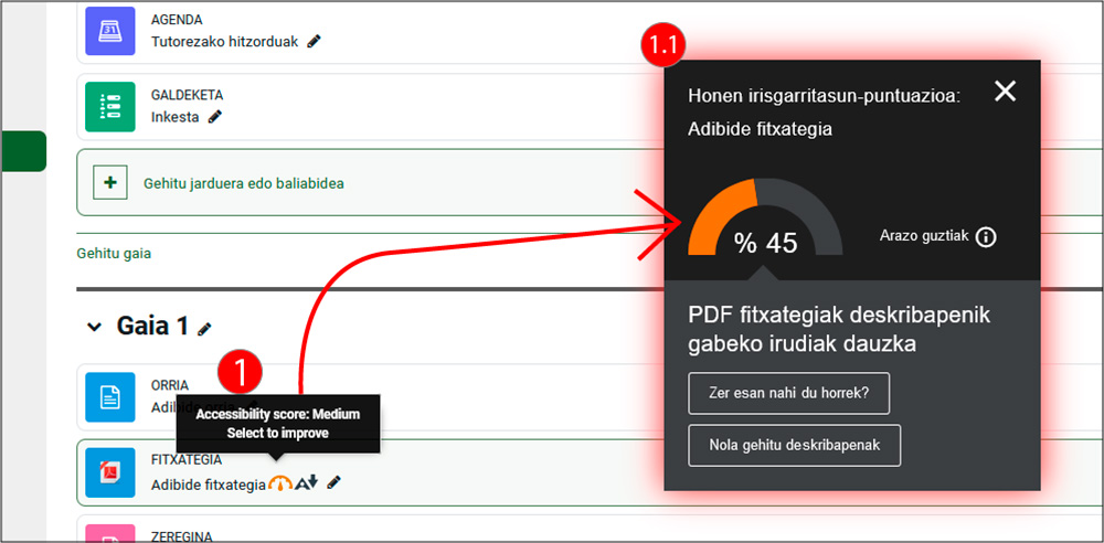 Irudiak erakusten du nola sartu irisgarritasunaren baloraziora