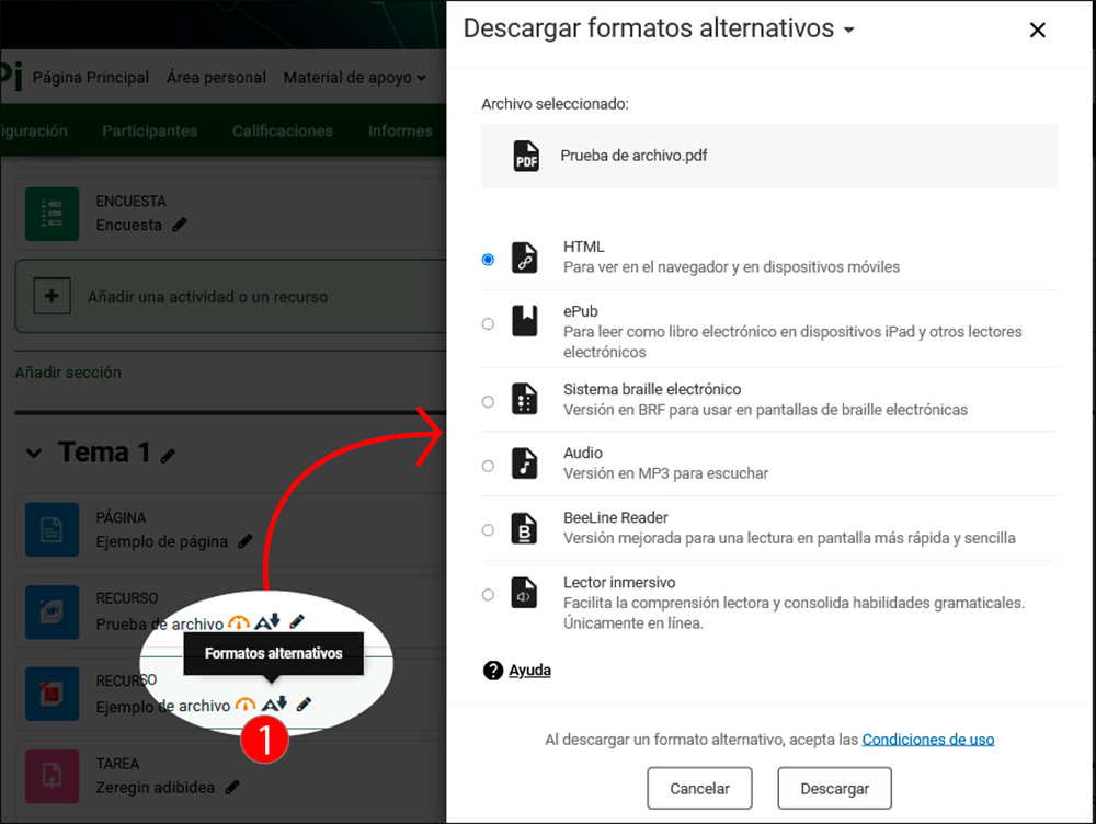 La imagen muestra los formatos disponibles