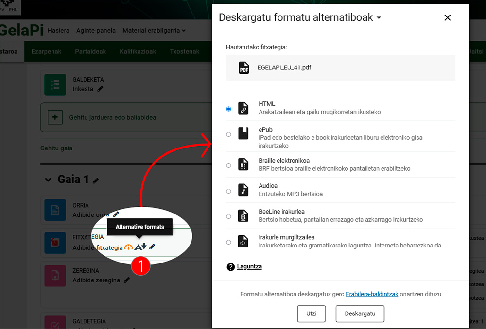 Irudiak eskuragarri dauden formatuak erakusten ditu