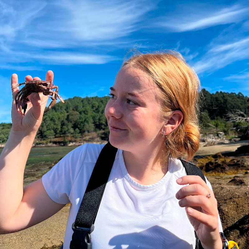 Researcher: Kätlin Jeedas (University of Tartu)