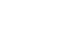 Friedrich Schiller University Jena