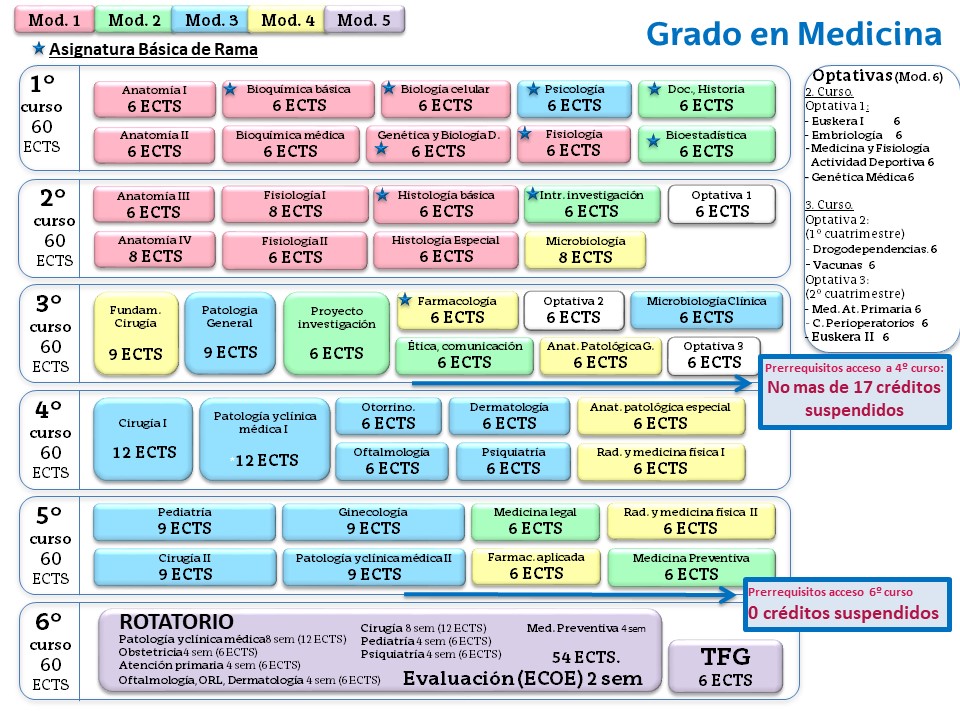 Esquema del Grado-Máster en Medicina