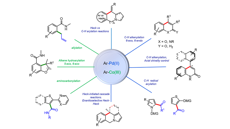 Líneas de investigación del grupo