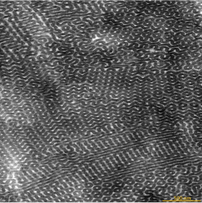 Foto ganadora. Autor: Martino Airoldi