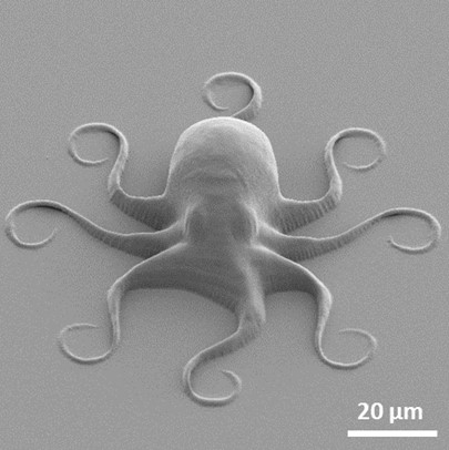 Photo: Eight Legs, Two Photons: When Science Gets TentaCool