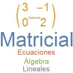 Álgebra Matricial