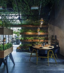 Las plantas naturales en la decoración interna de restaurantes:  satisfacción y lealtad de los clientes « Enpresa Institutua