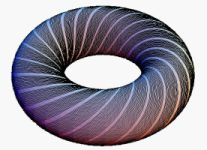 This is a foliated Torus. Click to obtain a Mathematica notebook to produce your own.