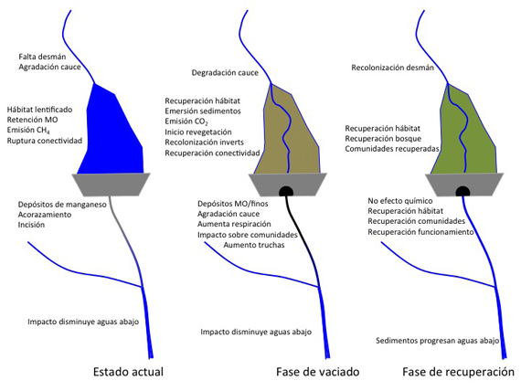 Estados del arroyo de Artikutza