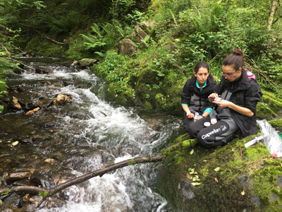 Tributario ro Leitzaran
